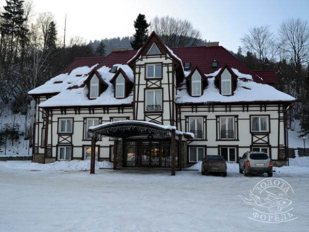 Золота форель