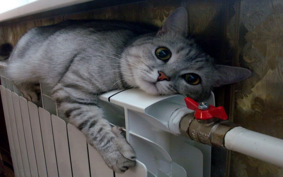 Лайфхаки: як самостійно утеплити квартиру та економити на опаленні