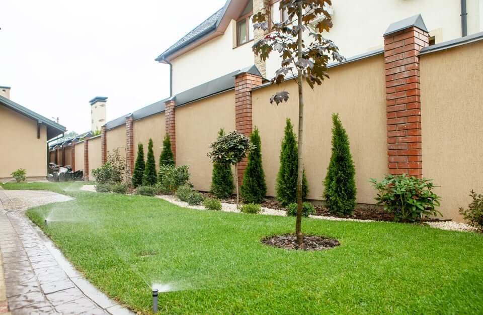 56770604_399695970621152_8031053286867992576_n