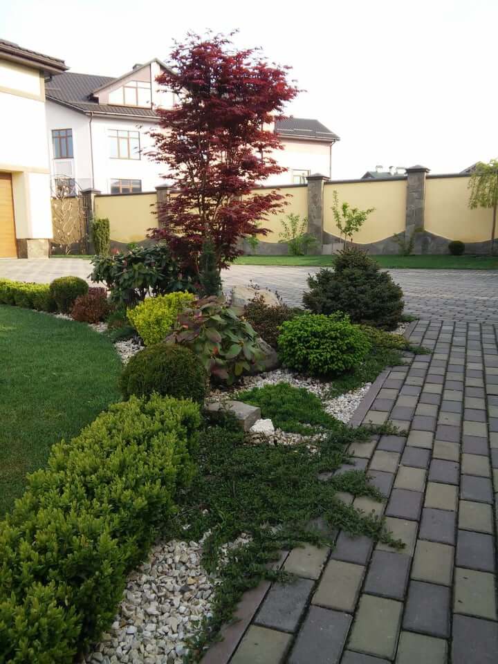 57101571_1084848298369824_7682295414082502656_n