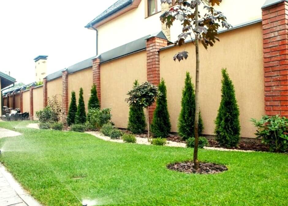 Які бувають види газонів?