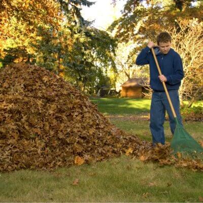 Послуги прибирання прилеглих територій