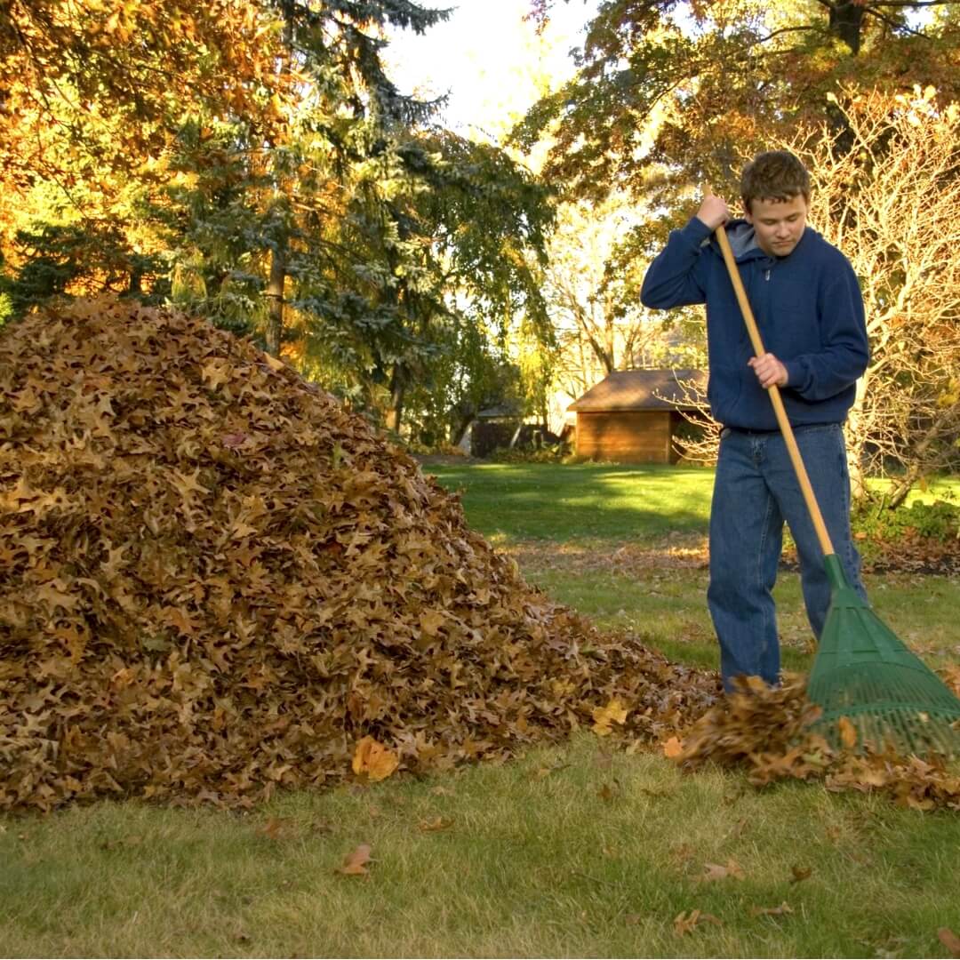 Послуги прибирання прилеглих територій