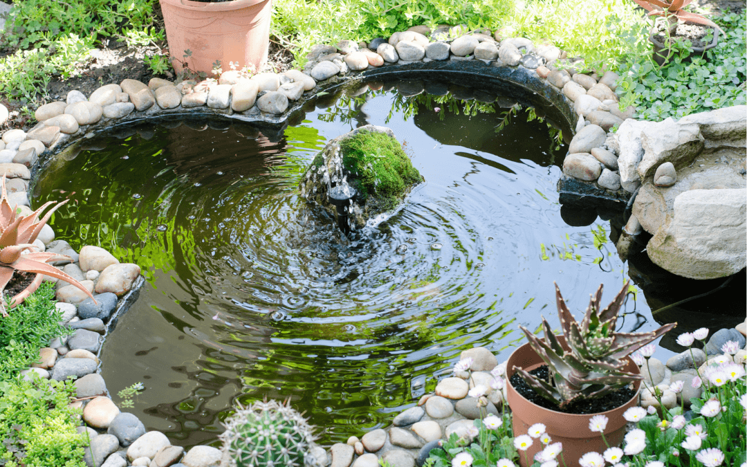 Обираємо штучну водойму для приватної садиби – поради та рекомендації від майстрів