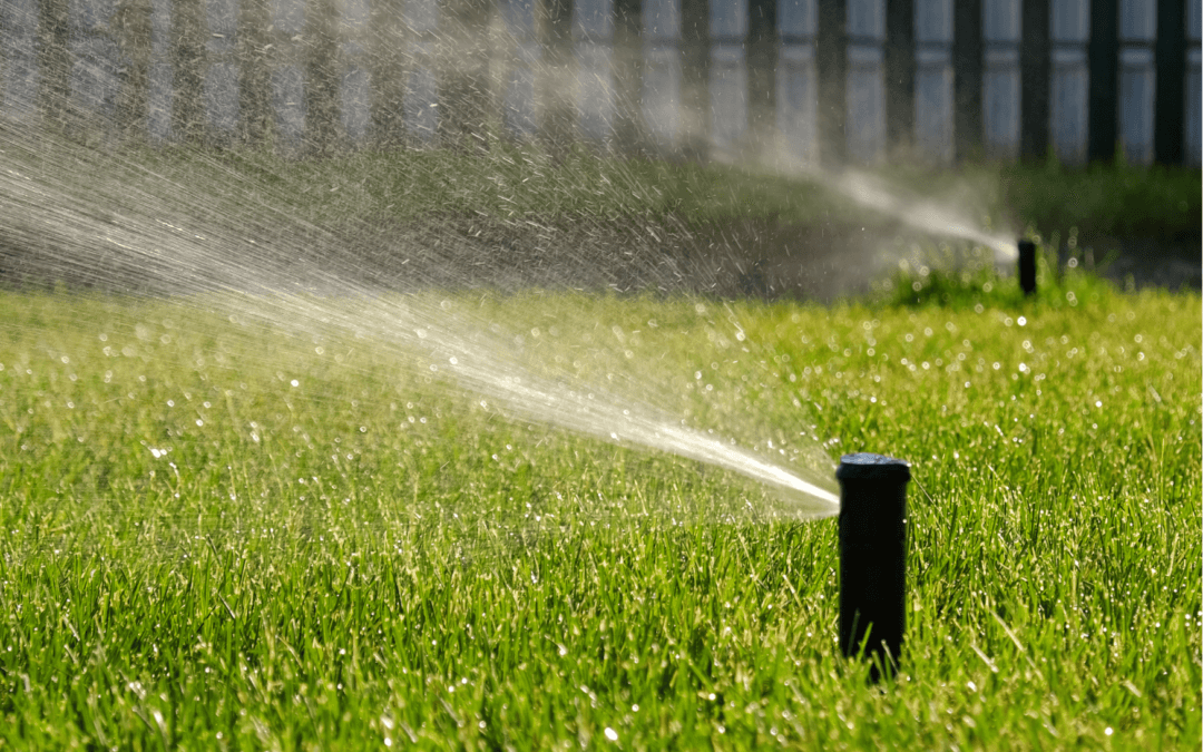 Сучасні рішення для управління водними ресурсами: водопостачання, очистка води, системи поливу і збору води