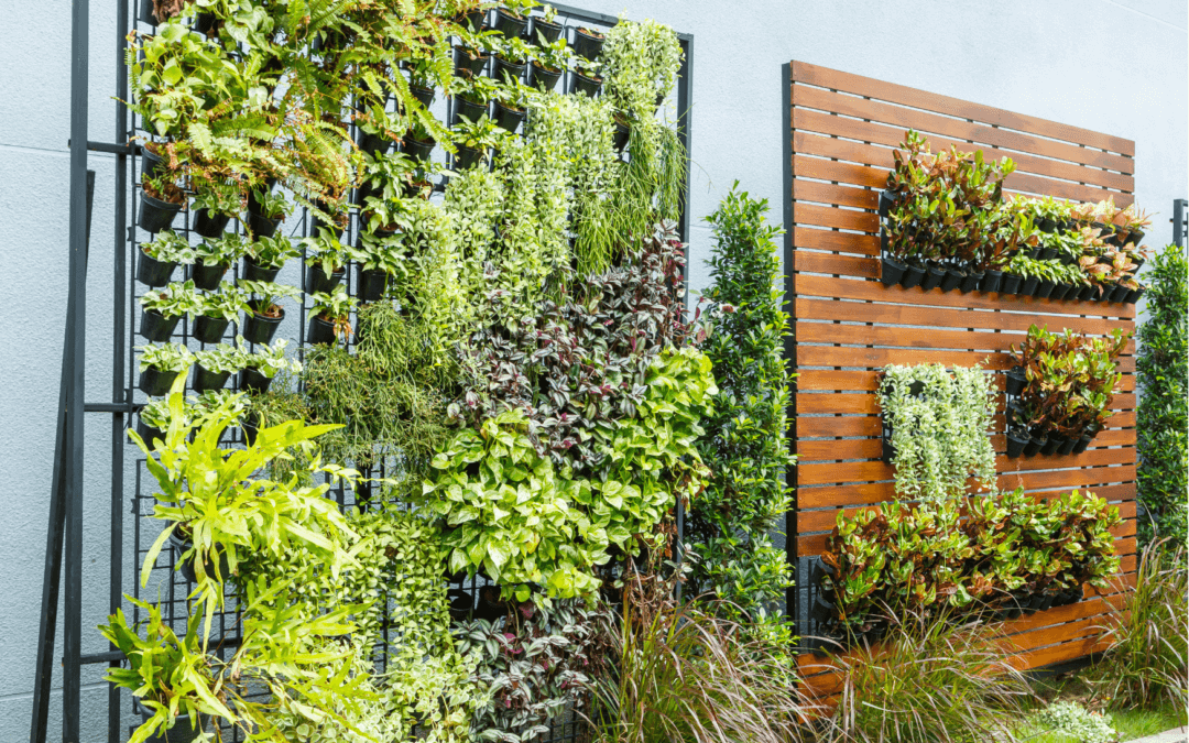 Зелений оазис у міському просторі: як озеленити будинок без прибудинкової території